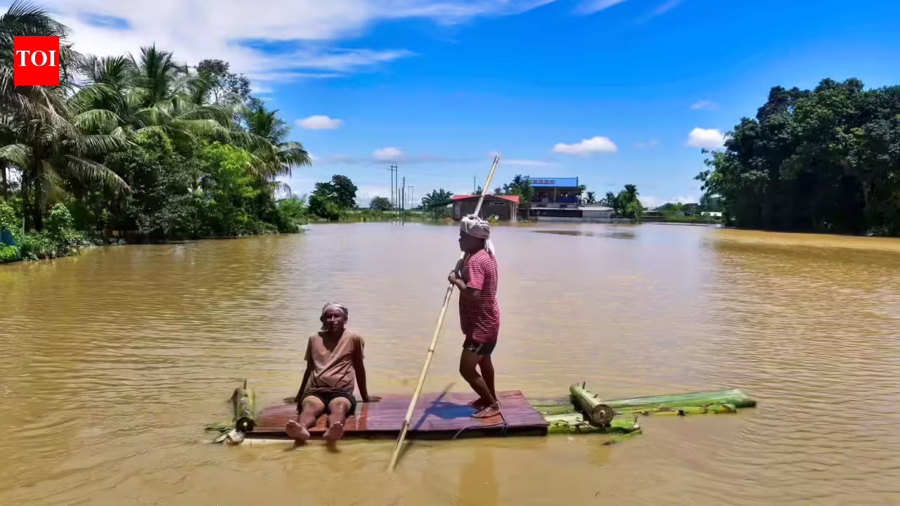 35 dead so far, 100 missing as Assam flood situation worsens | Guwahati News