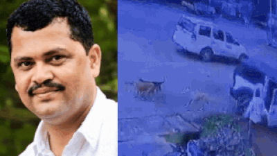 Congress Leader Shot Dead: Karnataka horror: Congress leader shot dead in broad daylight, chilling attack caught on cam | Mangaluru News