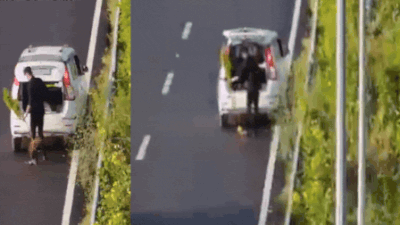 Man in WagonR with ‘POLICE’ sticker caught stealing plant from Delhi-Dehradun Expressway | Lucknow News